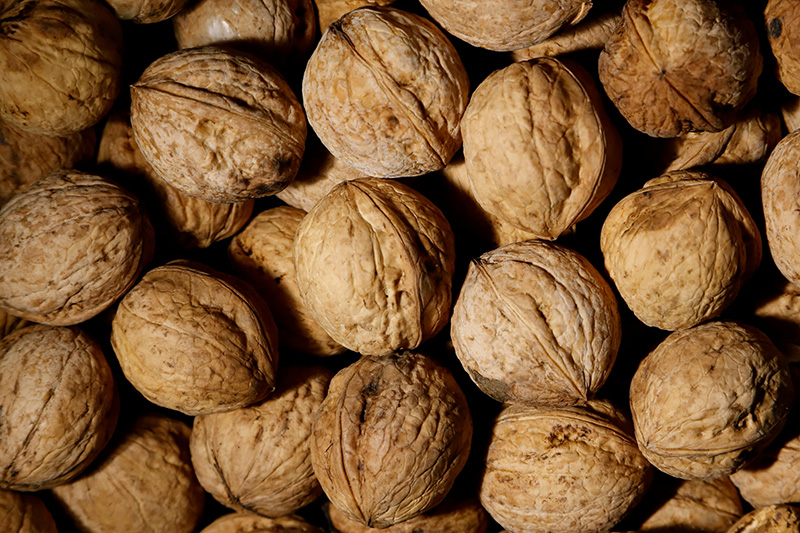 Walnuts - Wallace Farms